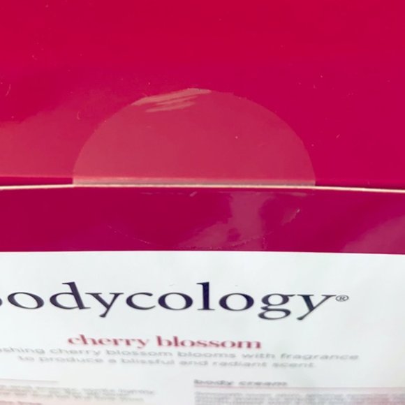 bodycology Three Piece Warm & Cozy Sock Set - Picture 3 of 3